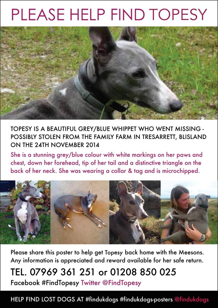 We need you <a href="/ferrifrump/">Jennifer Saunders</a> #FindTopesy #stolen #Cornwall desperately missed pls #RT to help her home TY <a href="/MissingPetsGB/">Missing Pets GB</a>