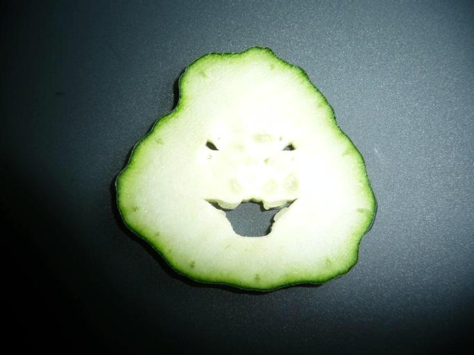 UglyFruitAndVeg's tweet photo. WHEN YOUR UGLY CUCUMBER REMINDS YOU TOO MUCH OF THE GHOST FROM GHOSTBUSTERS.... #SomethinWrong #InTheVeggieHood http://t.co/R3uQ4urF7E