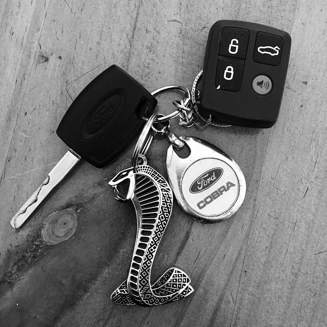 dronodromo_com's tweet image. #newkeyring #snakebadge #cobra #fpv #mscobra #thankspeter by mscobra05