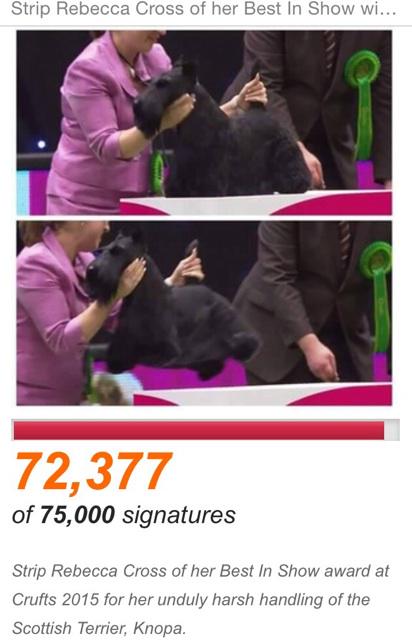 _G12's tweet photo. Strip Rebecca Cross of her Best In Show win at #Crufts for harsh handling #Knopa https://t.co/VVjtBYQOQF #Crufts2015 http://t.co/1Zk2zLohGA