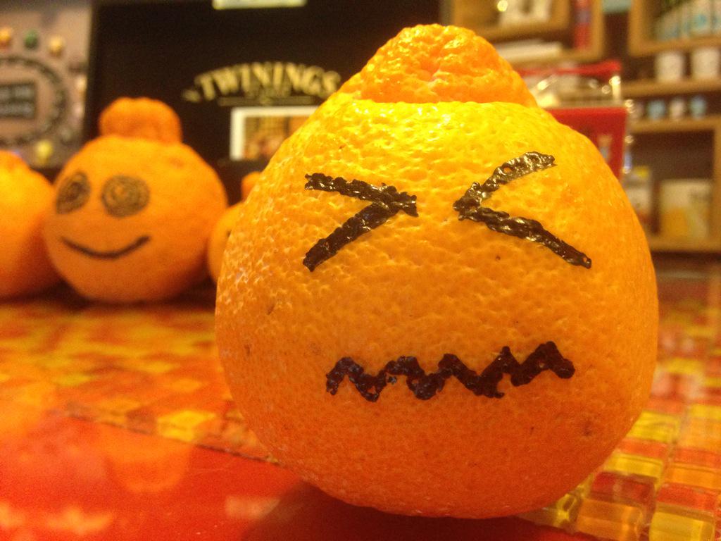 꽃샘추위~~오늘 제주도 춥다! 바람도~쌩쌩~~