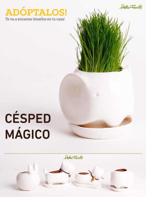 Crea tu pequeño jardín con estos 4 animales de cerámica bit.ly/1wo06VB #helioferretti