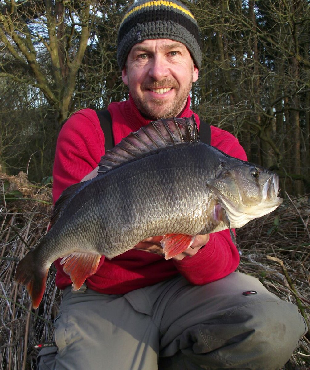 Angler on his first trip down our lake targeting #Perch lands this lump! #kirtonhalllake