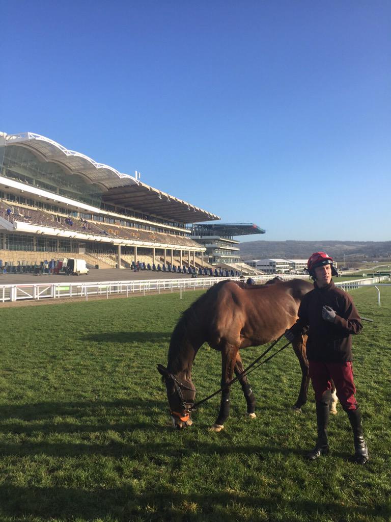 Jezki this morning <a href="/cheltenham/">Cheltenham</a> can't wait for 3:20!