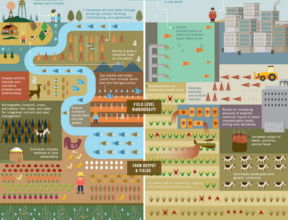 FAOstatistics's tweet photo. Soil to Sky #infographic | How to feed the world without destroying it via @MotherNatureNet http://t.co/SNak4zd4ev http://t.co/UJR4yRPYUV