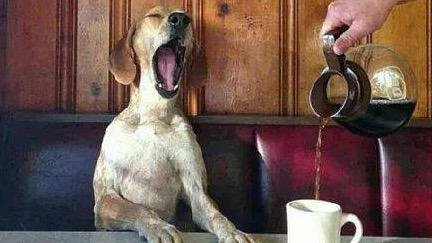biggbycoffee294's tweet photo. Good morning everyone! Stop on in and say hi to your favorite baristas this morning! http://t.co/qliokGcdt1