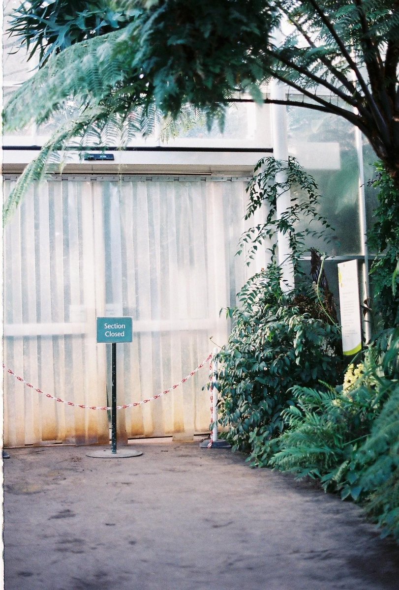ThisIsIntern's tweet photo. Another example of Jess Maddock's eye for a beautiful image. More from the young photographer→http://t.co/JCYIHPcheS http://t.co/FTWZfjpuNZ
