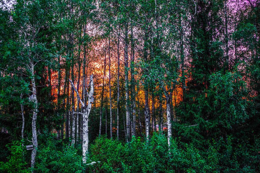 38 alasan untuk tidak mengunjungi Finlandia :) <bzfd.it/1F7dC1B>