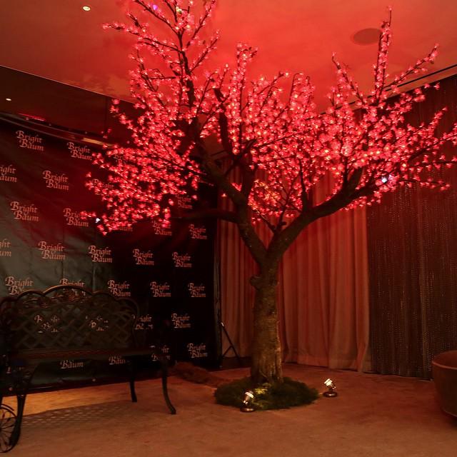 BrightBaum's tweet image. All that is missing is YOU! #brightbaum #ledtree #cherrytree #shine