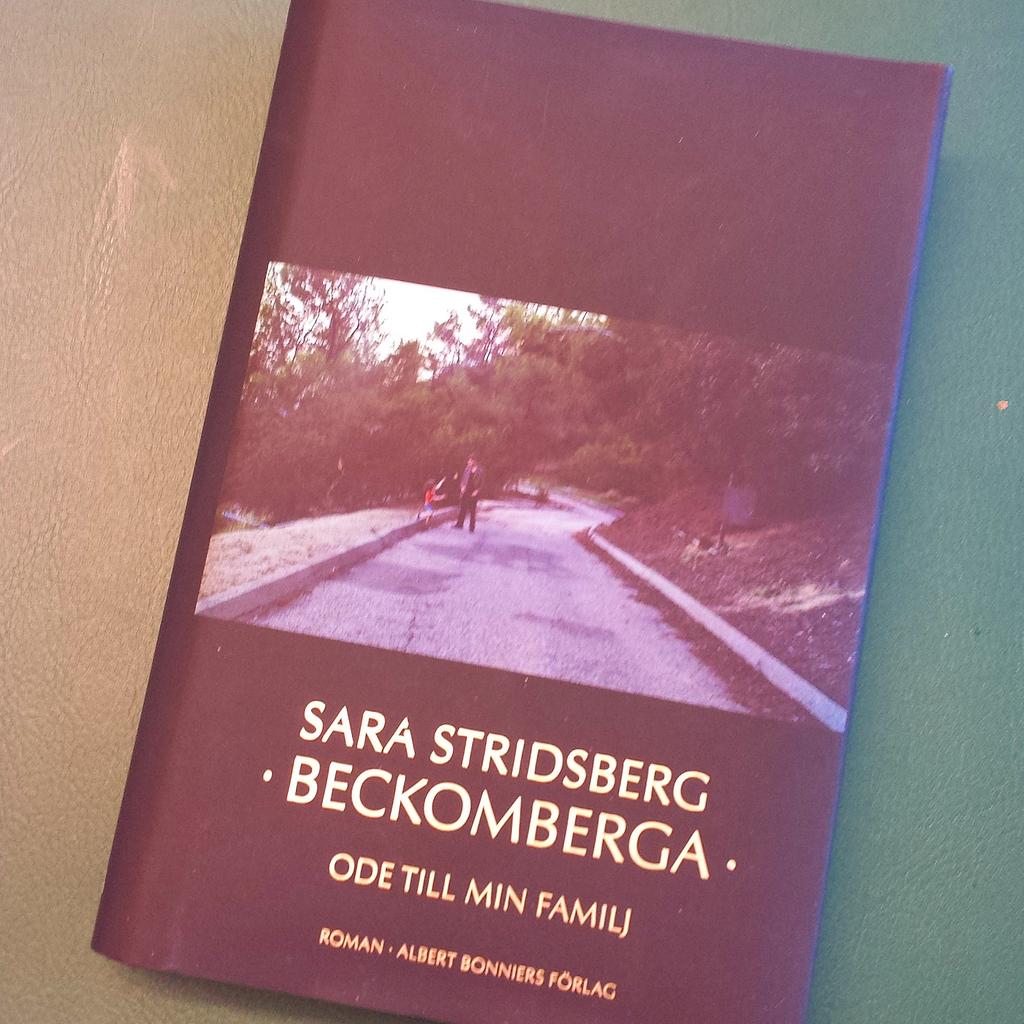 Ikväll cirklar jag om den här fina boken! :) #sarastridsberg #beckomberga