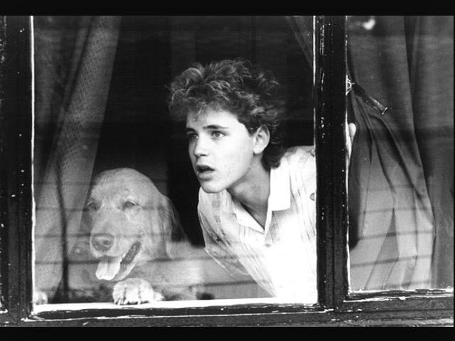 batgirls4real's tweet image. Take a moment to remember this beautiful man. 5 years without your smile is like an eternity #CoreyHaim #REMEMBER222