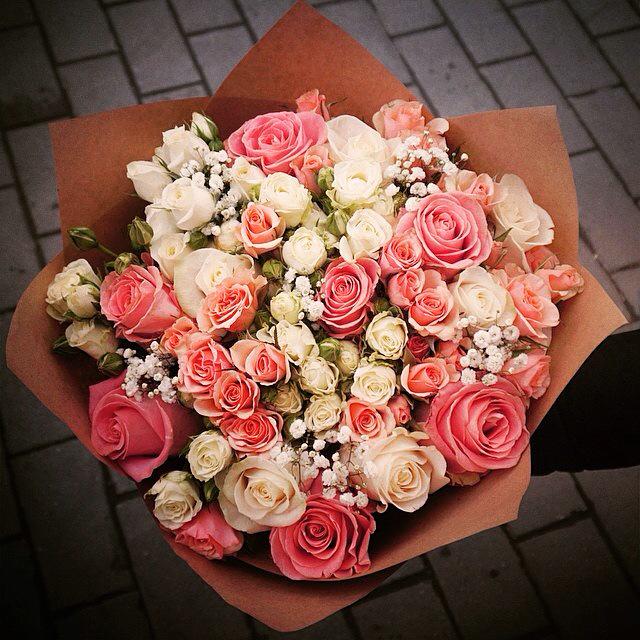 FloristBears's tweet photo. http://t.co/bGKcCpvsTu