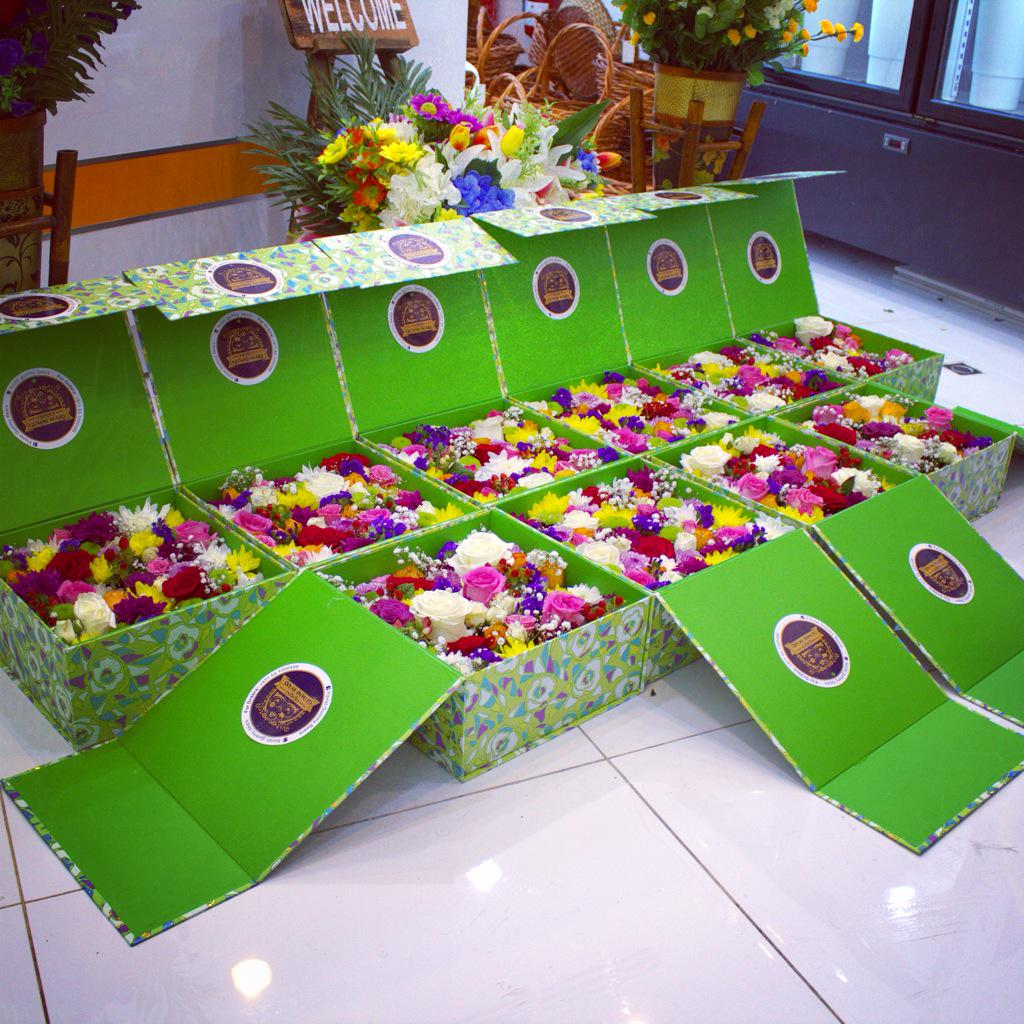 FloristBears's tweet photo. http://t.co/tnqjaVOhuE