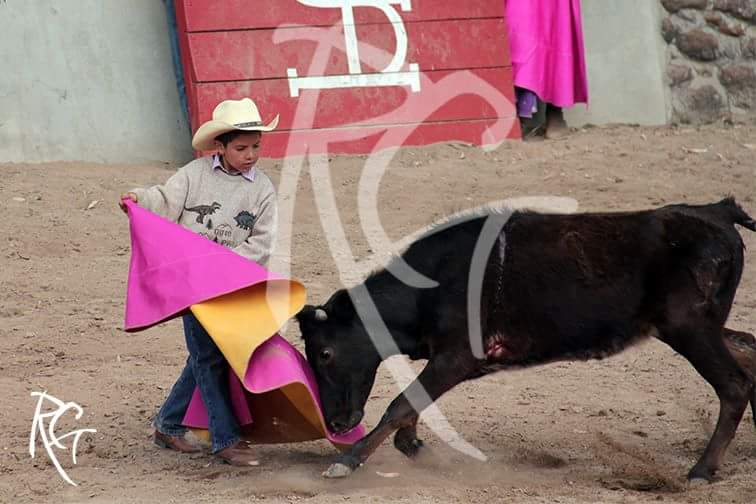 castabravamx's tweet photo. Ojalá q @CincoVillasMex le haga 1 lugar en su festival a #ElMorrin hijo de 1 vaquero de #SanMateo @ganadobravo http://t.co/WBKjYiZkqA