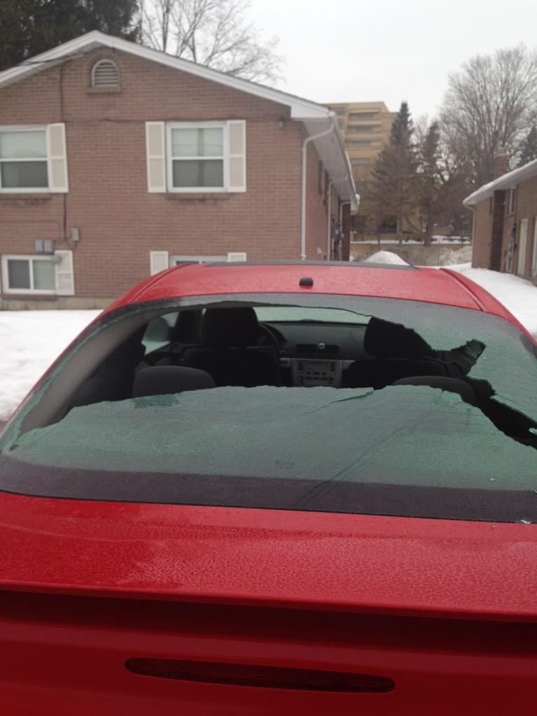 _baill's tweet image. This was my morning #COOL #THX