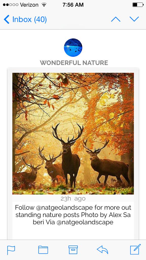 mypostmag's tweet photo. A Few Top #Pics from our #photos issue this morning,  sign up at http://t.co/dRWcneD0dF  Only the best!! http://t.co/ObCsHN0T8z