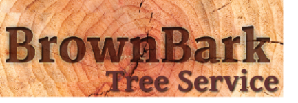 BrownBarkTree's tweet photo. Take a look at our latest review (Thanks, Rick!) and submit one yourself! http://t.co/xXWHqoy6Ky