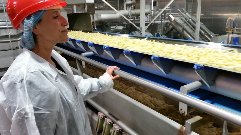 ...en hoe wordt 1,7 miljard aardappelen tot bijv frietjes verwerkt... <a href="/IrenetvGLD/">Irene ten Voorde</a> <a href="/AVIKO/">AVIKO the Artist.</a> <a href="/OmroepGLD/">Omroep Gelderland</a> #trotsopgld