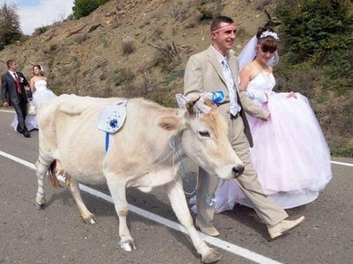 Funny wedding shot ;)
#wedding