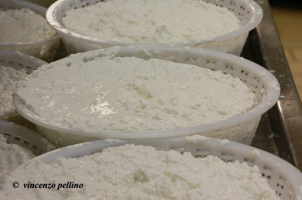 caseifico's tweet image. 