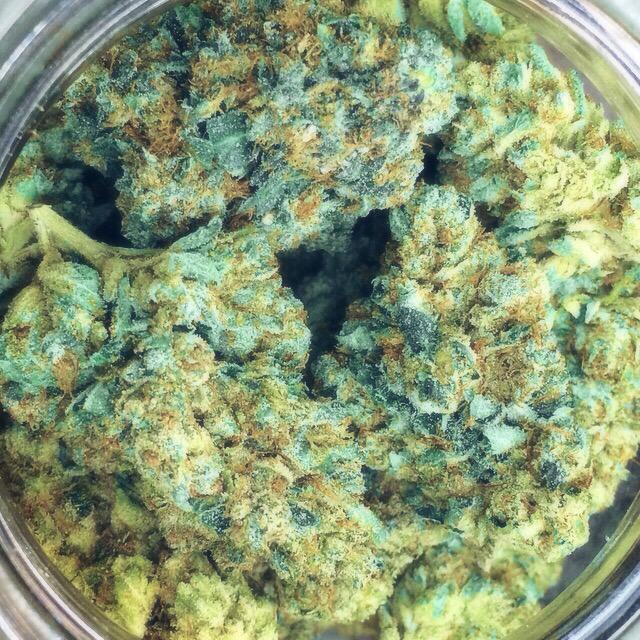 Nemo_blunts's tweet photo. OG-BlueDro great way2start my #WakeAndBake #TeamKUSH @xStonerGirls @ilovechronicbud @hoethangs @TeamKUSH420 #followme http://t.co/bZzJ8pkEq8