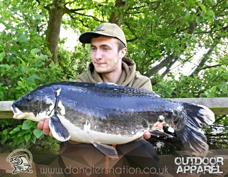 DanglersNation's tweet photo. #KoiWeek @DanglersNation
@TheCarperKPG @urban_bait @CarpersParadise @TheBigFishOff @LeeEnglandCF @ChronicleFish http://t.co/kpw9eKTOy2
