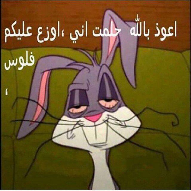 ساره ♡♥بنت القريات☆ (@a4d2dc6f8c33437) on Twitter photo 