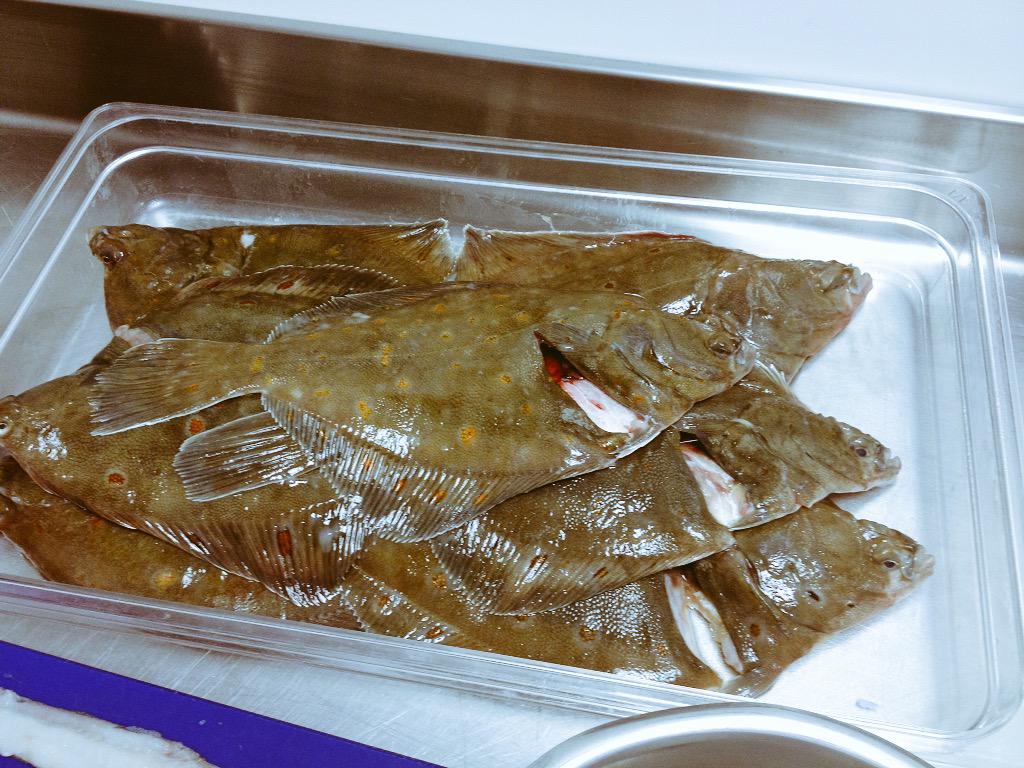 cobie1482's tweet photo. Fresh Scottish seafood on the go @edinburghcoll tonight with svqlvl3 kitchen larder at MR #studentmenu http://t.co/NFeRjH0Gjv