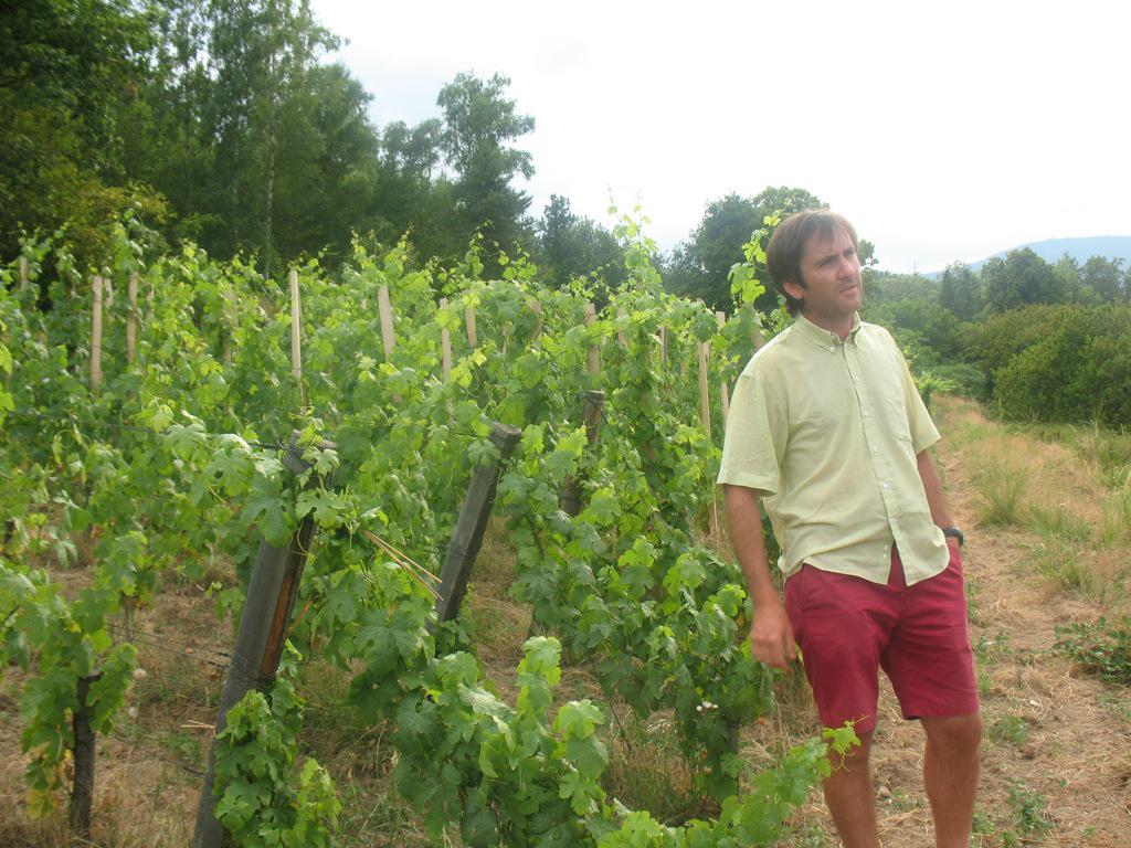 Come by TONIGHT 5-7p to drink #Roseau's stunning #Rhone w/ Benoit the winemaker! <a href="/MFWWineCo/">MFW Wine Co.</a>