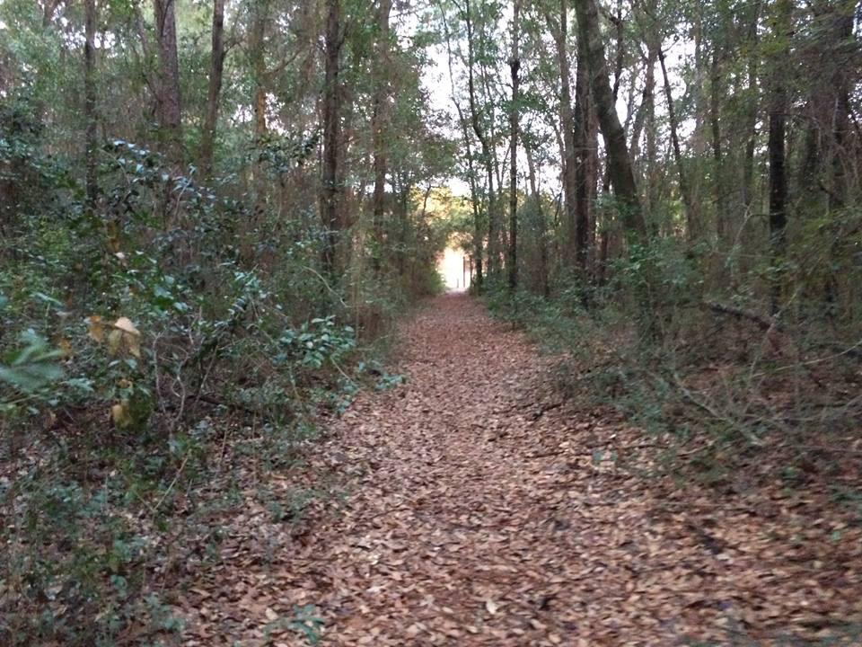 usarunningdead's tweet photo. This Friday the 13th ... 💀💀💀🏃🏃🏃 #zombies #JagNation #FridayThe13th #southalabama #USArunningdead #runforyourlife http://t.co/RuurQpmsKR