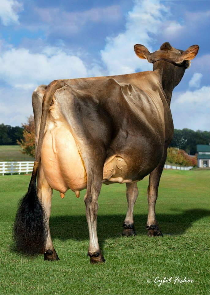 River Valley Farm tweet media