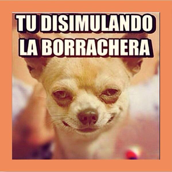 bebi_fernandez's tweet photo. AJJAJAJAJAJAJJAJA http://t.co/Wiy6EYBVN7