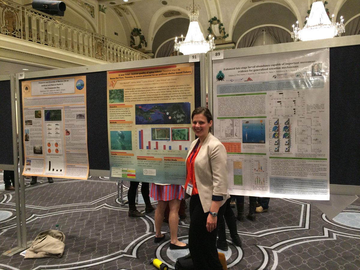 Lais Chaves tweet media