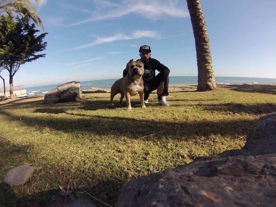 lilkeki's tweet photo. BRUTUS love... http://t.co/U4uEklk5D5