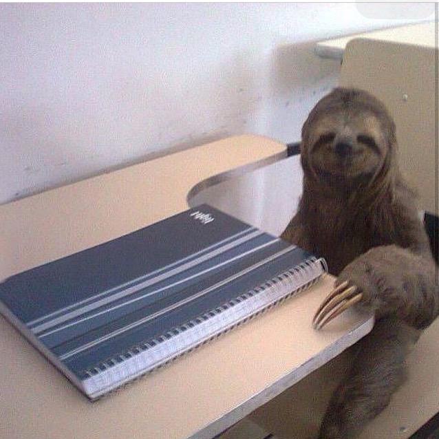 _jamilli's tweet image. E a preguiça de estudar? 😴  bem assim