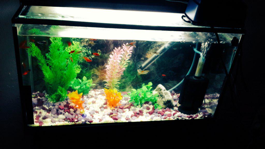 Mehmet Moradi (@mehmetmoradi) on Twitter photo 