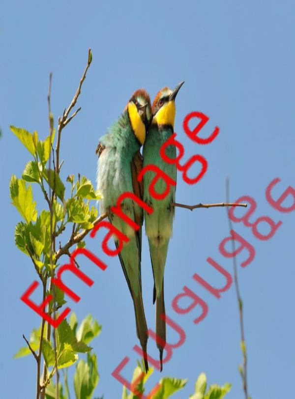 KamelSamera's tweet photo. http://t.co/U4Tmu68kGh