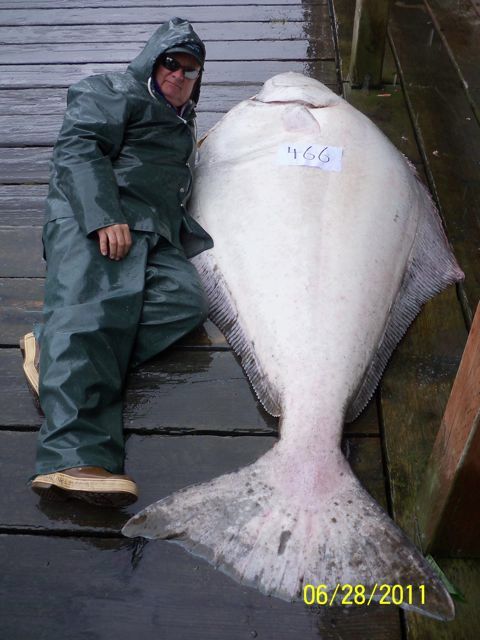 SeaFoodApparel's tweet photo. Check our our latest blog posts-->http://t.co/aCKccgKESr http://t.co/EfJOznUC9P