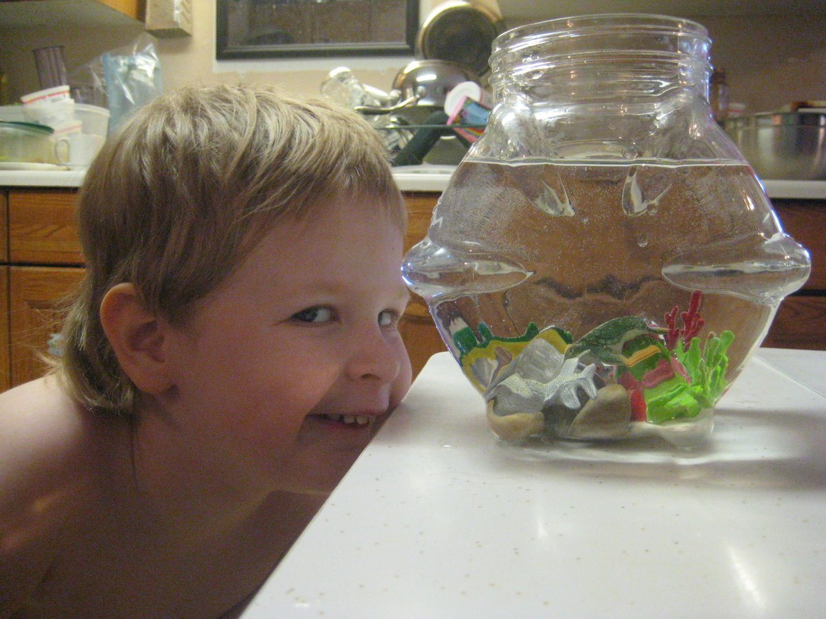 Freeschoolin333's tweet photo. What we Freeschoolin' Folk get up to!
http://t.co/HA9ihDKJ9d
#unschooling #radicalunschooling #wholelifelearning http://t.co/Iu3Z1H1TDz