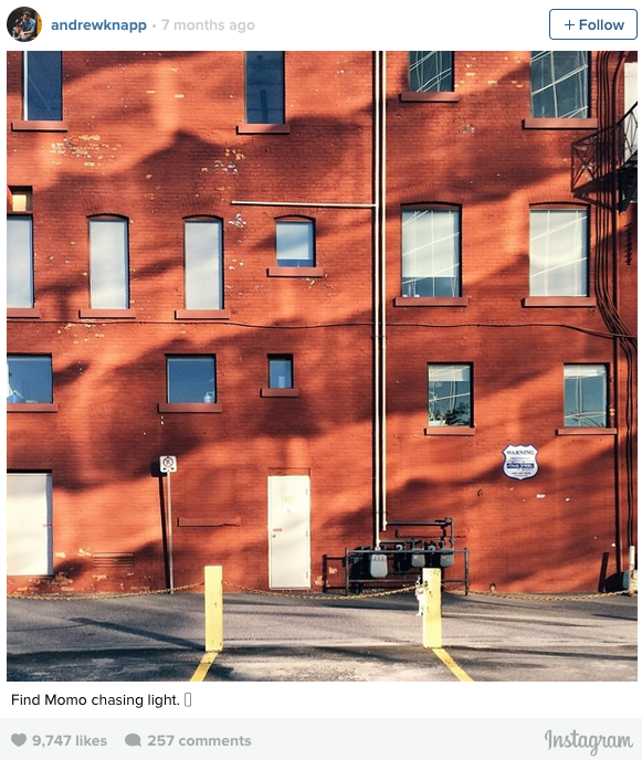 Check out these creative ways people are using Instagram: ow.ly/K7tlS (Seriously, they're awesome)