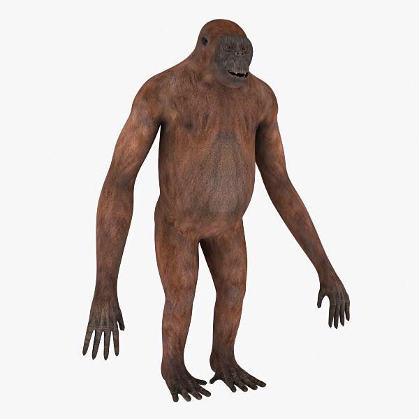 nickgl731's tweet image. #tb to my vry grat grandpa. We have the same smil :) #evolutionisreal