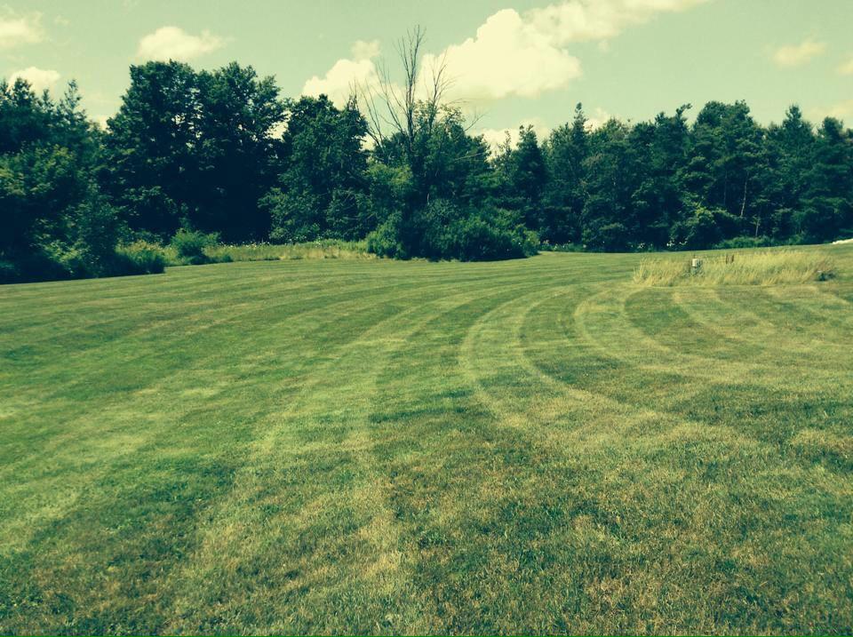 ttslote's tweet image. Summer is just around the corner