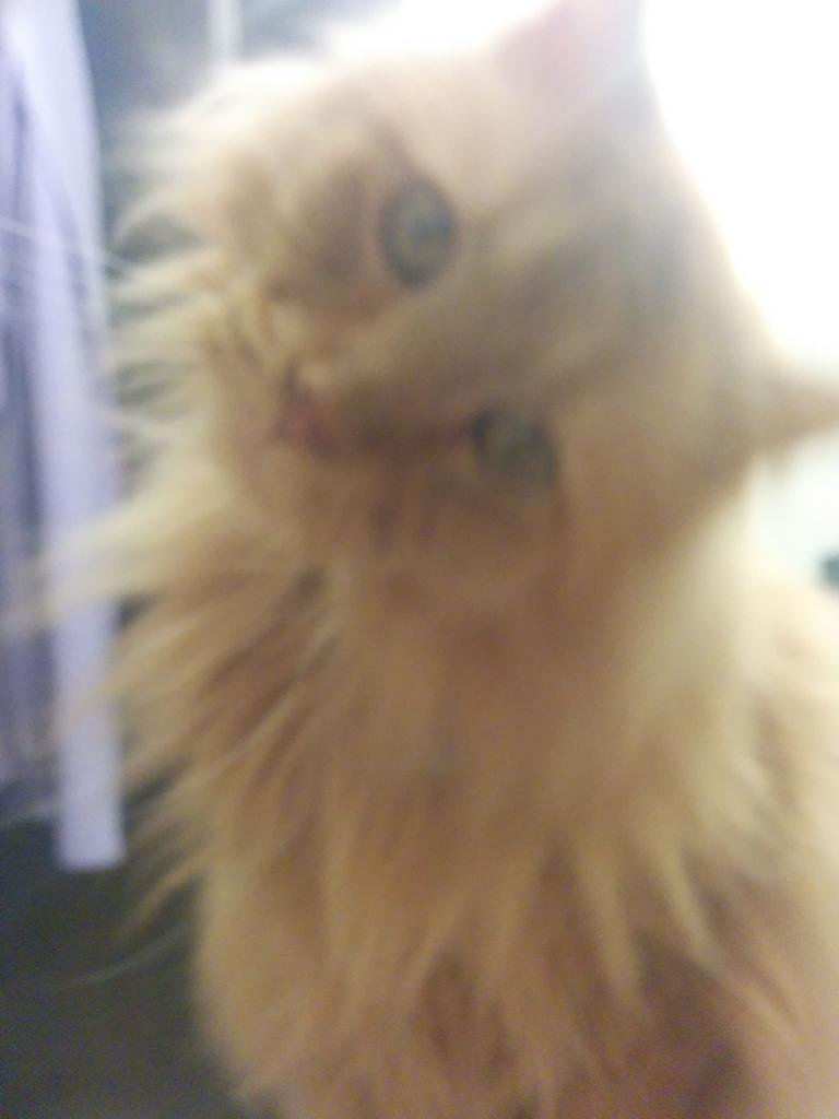 angm's tweet photo. http://t.co/R8hAwThpzO