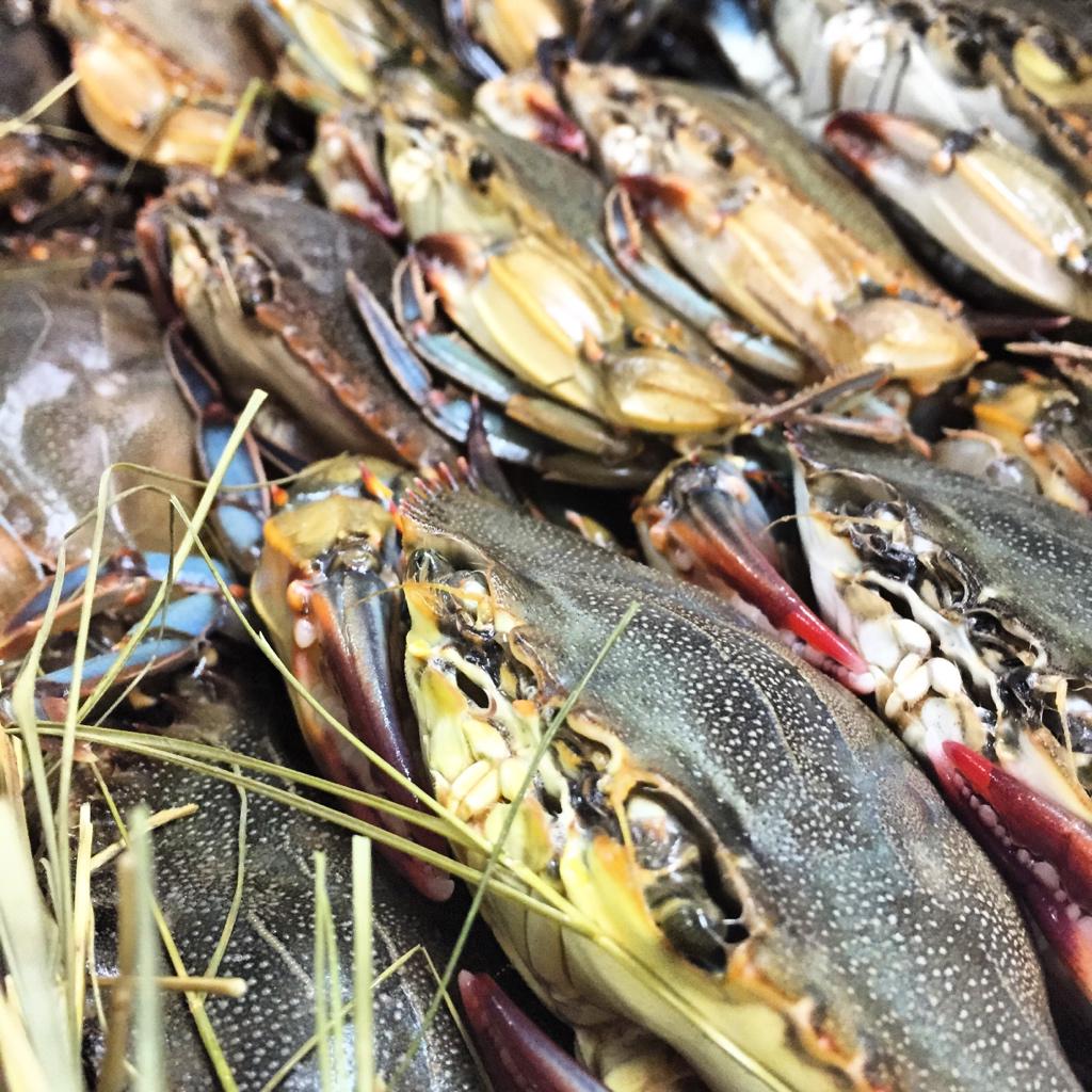 TandCMiami's tweet image. Jacksonville Soft Shell Crabs tonight! Thanks for the hook up @bellachef19 #ChefCommunity #SpringMenu