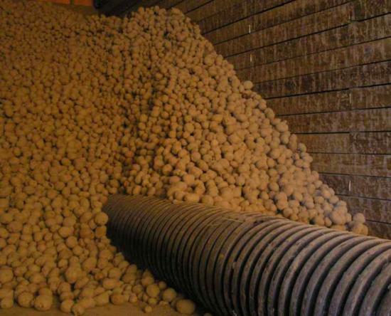 PotatoPro's tweet image. North Dakota #potato #farming Johnson brothers sentenced to prison for #insurancefraud potatopro.com/node/12021 #ag