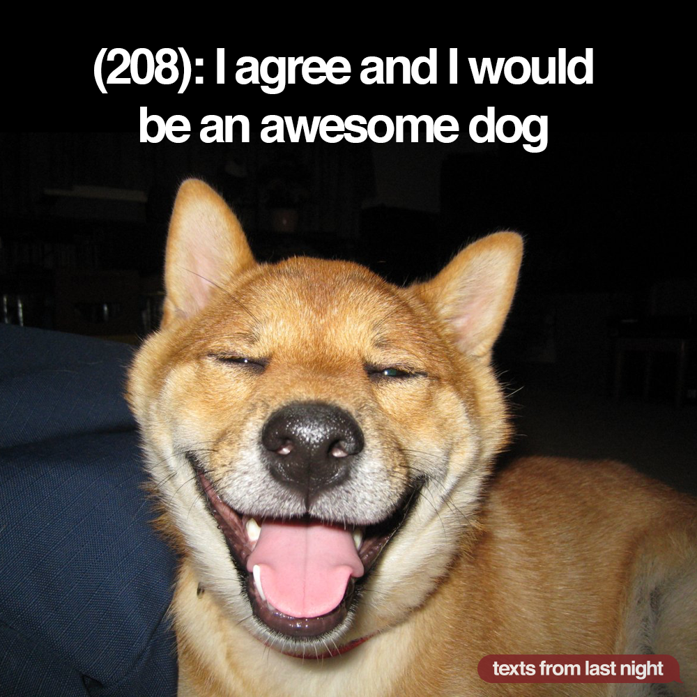 JedCullen5's tweet photo. "@TFLN: #tfln http://t.co/nsRxLlfaI4" @EScheufler your theory