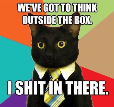 HRHPrinceAntar's tweet photo. Inside the box or outside the box, That is the question....😼  #HRH http://t.co/005a6FRbW8