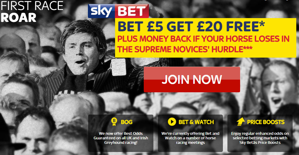 TheHorsesMan's tweet image. #Cheltenham #VitalPlot #BabyShine #IpsosDuBerlais #DurseySound Bet £5 get £20! bit.ly/SkySNH