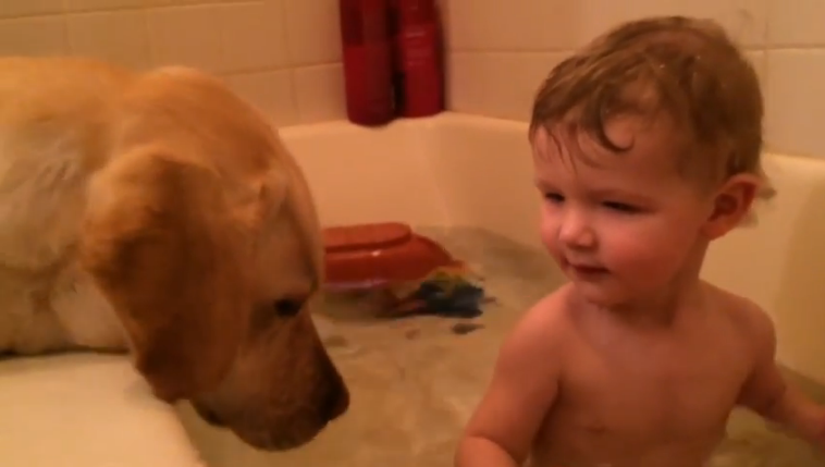 Embedded image permalink