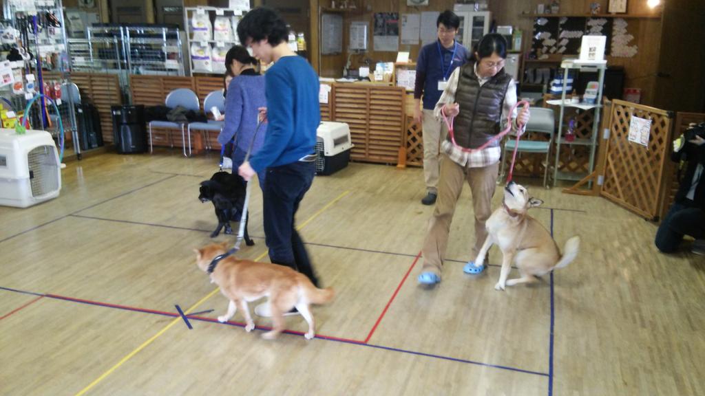 人と動物の共生センター (H_A_S_C_) Twitter